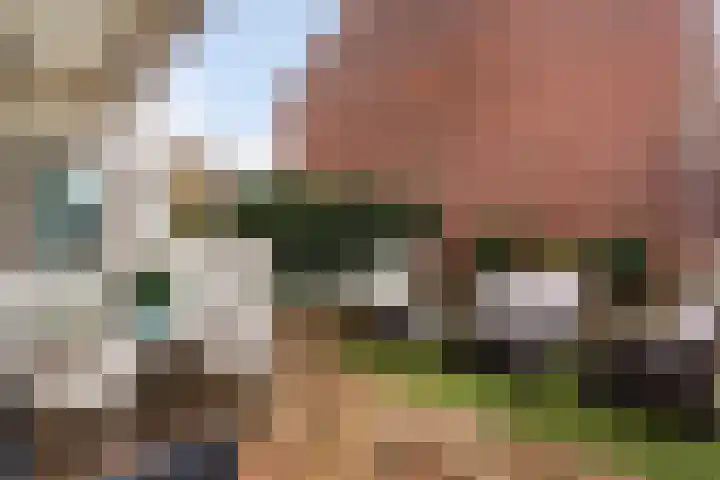 Lelievaart 4 Zoetermeer thumbnail 5