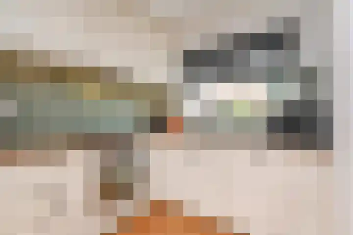 Lelievaart 42 Zoetermeer thumbnail 13