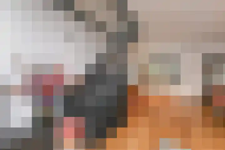 Lelievaart 42 Zoetermeer thumbnail 16