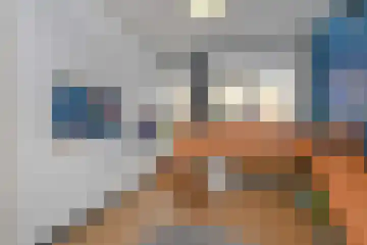 Lelievaart 42 Zoetermeer thumbnail 21