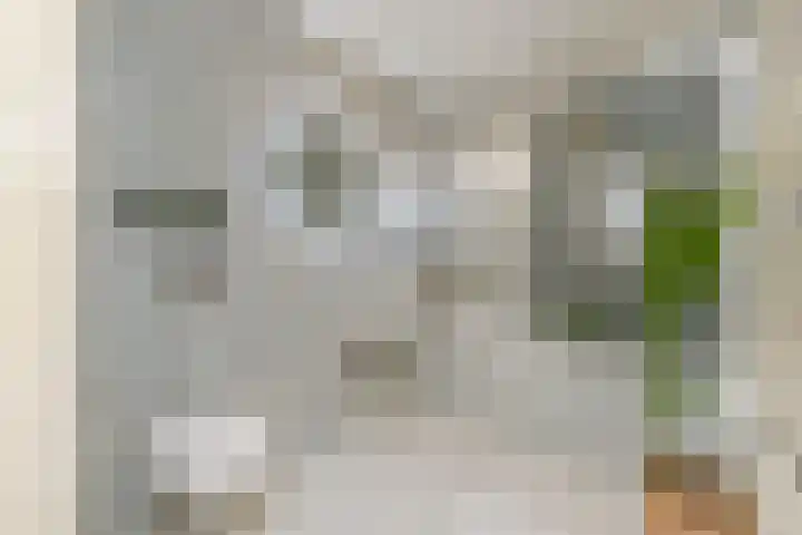 Lelievaart 42 Zoetermeer thumbnail 23