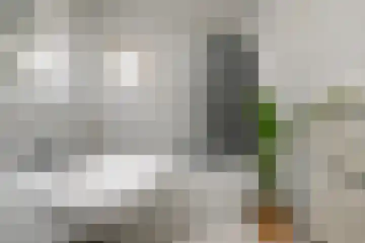 Lelievaart 42 Zoetermeer thumbnail 24