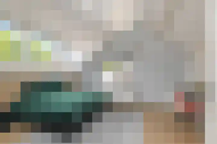 Lelievaart 42 Zoetermeer thumbnail 26
