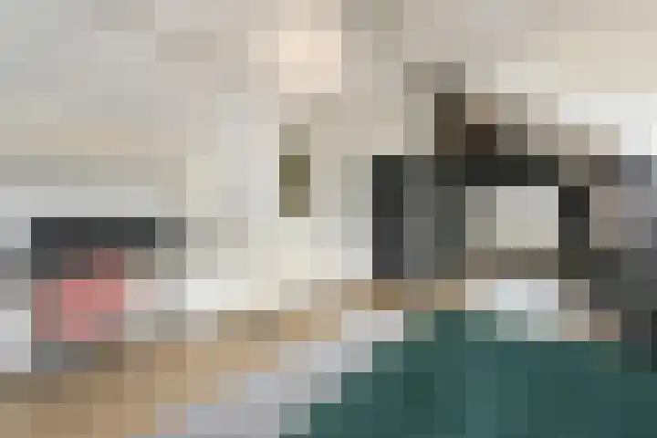 Lelievaart 42 Zoetermeer thumbnail 28