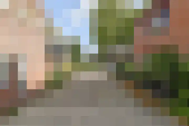 Lelievaart 42 Zoetermeer thumbnail 32