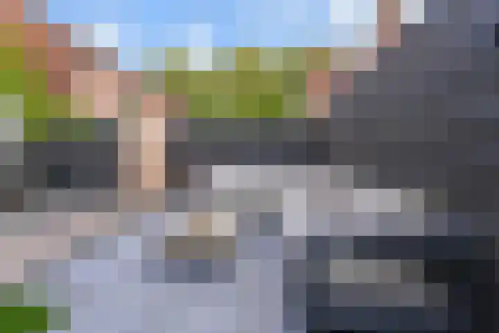 Lelievaart 42 Zoetermeer thumbnail 5