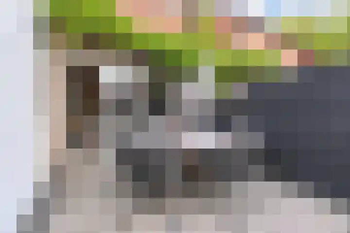 Lelievaart 42 Zoetermeer thumbnail 6