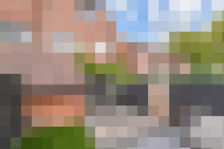 Lelievaart 42 Zoetermeer thumbnail 7
