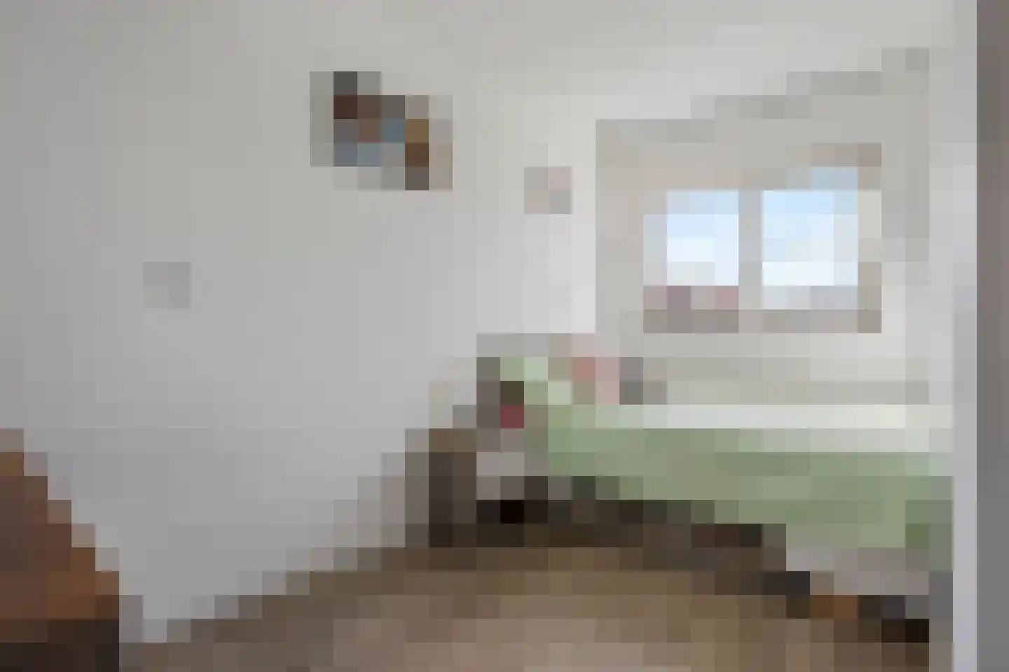 Lelievaart 46 Zoetermeer thumbnail 17