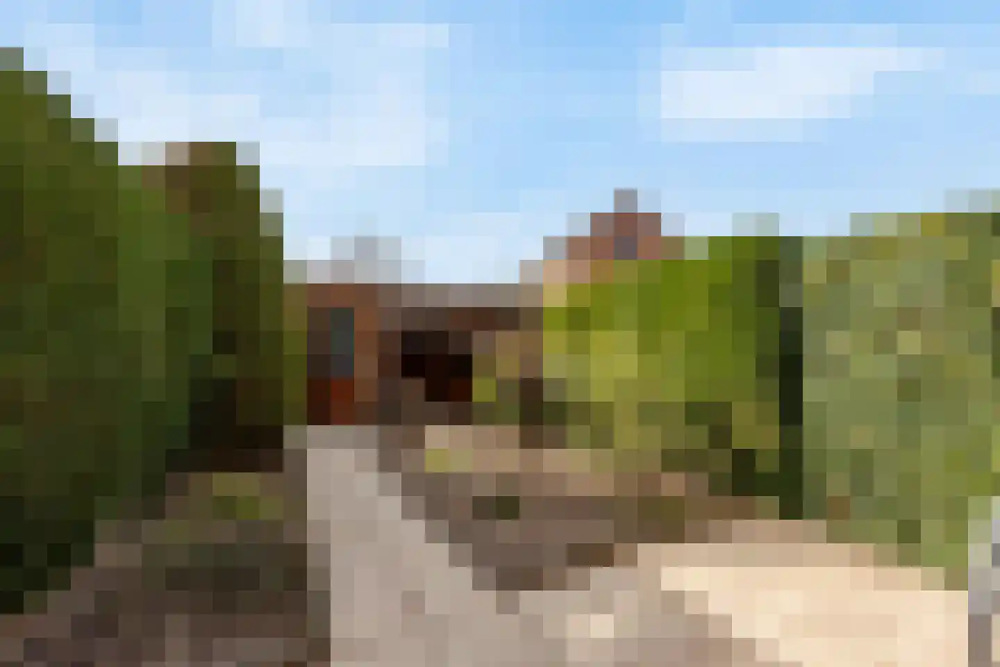 Lelievaart 46 Zoetermeer thumbnail 30