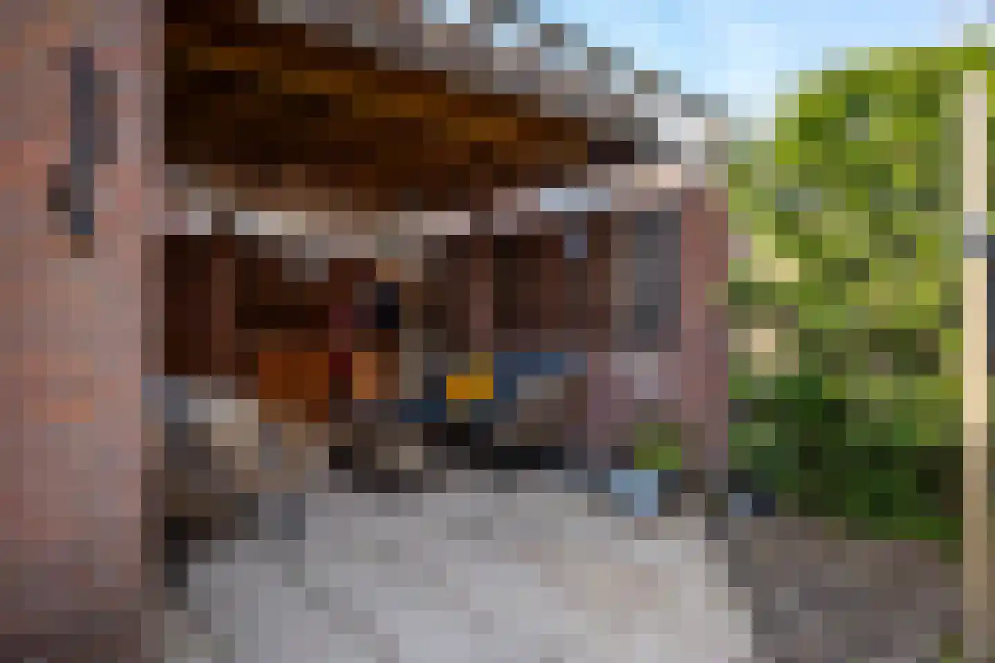 Lelievaart 46 Zoetermeer thumbnail 32