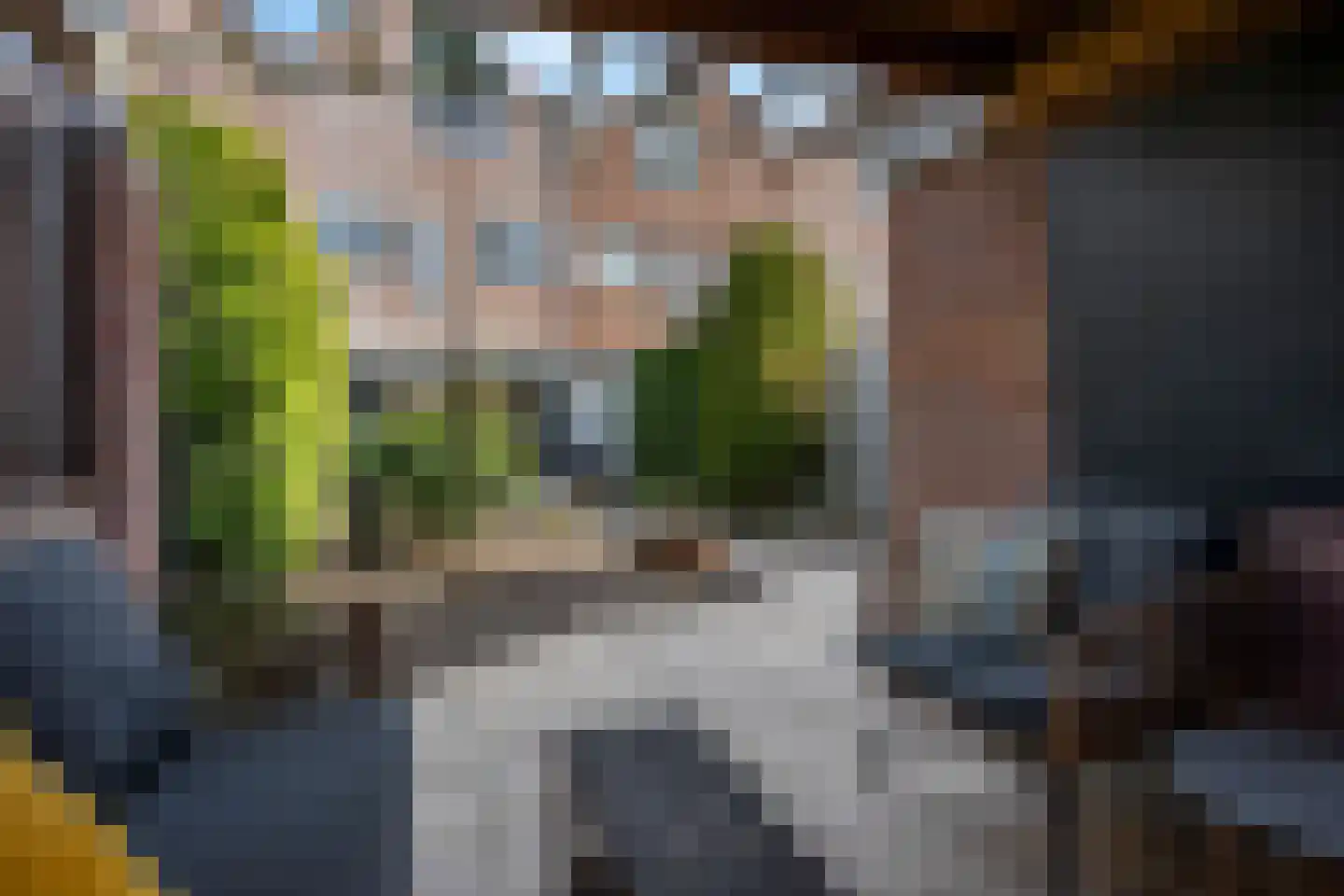 Lelievaart 46 Zoetermeer thumbnail 35