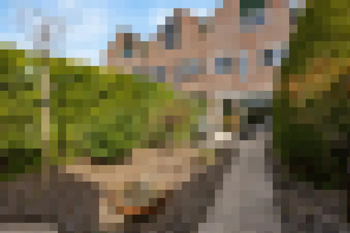 Lelievaart 46 Zoetermeer thumbnail 37