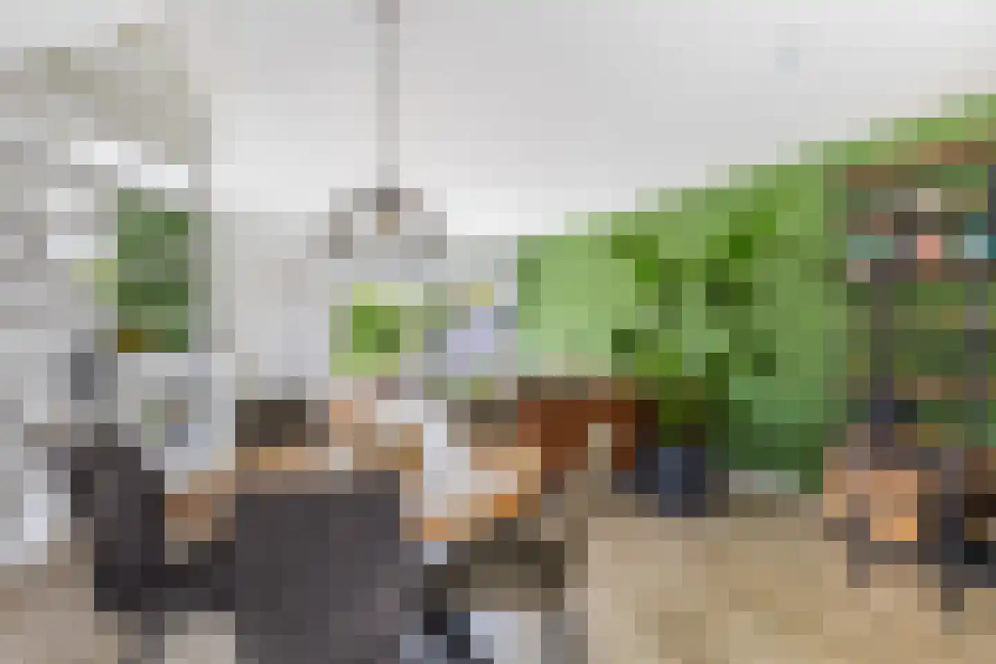 Lelievaart 81 Zoetermeer thumbnail 12