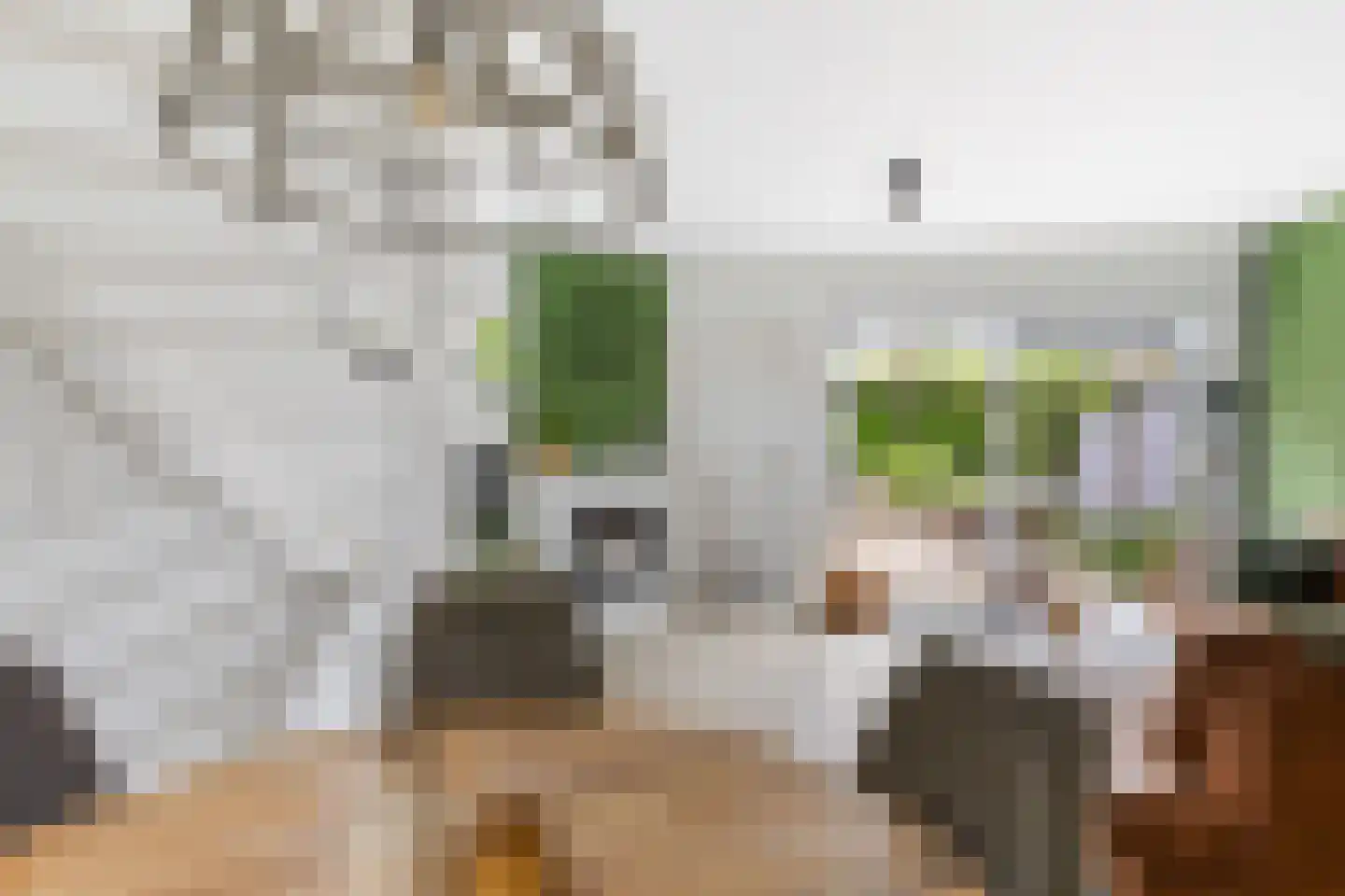 Lelievaart 81 Zoetermeer thumbnail 13