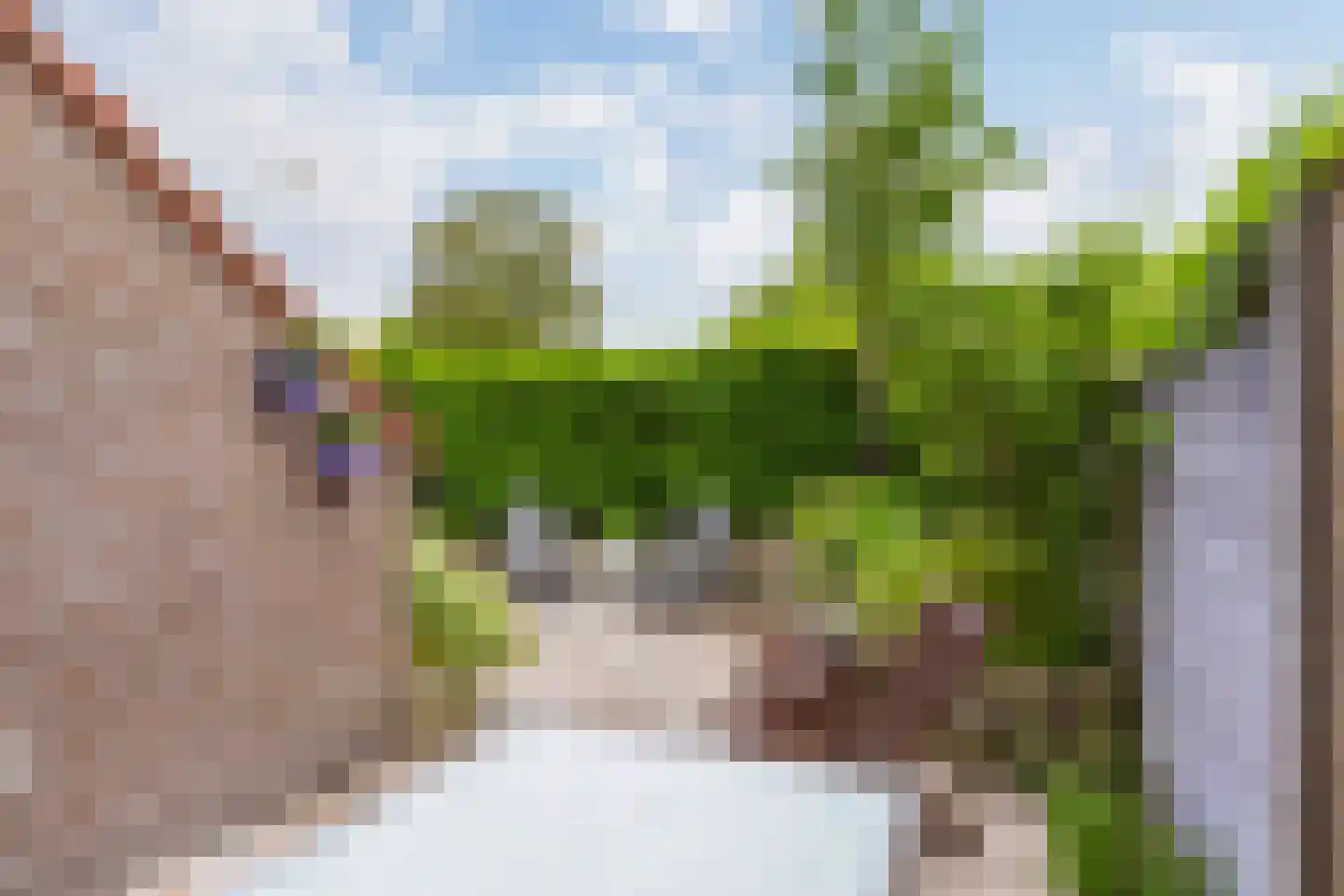 Lelievaart 81 Zoetermeer thumbnail 14