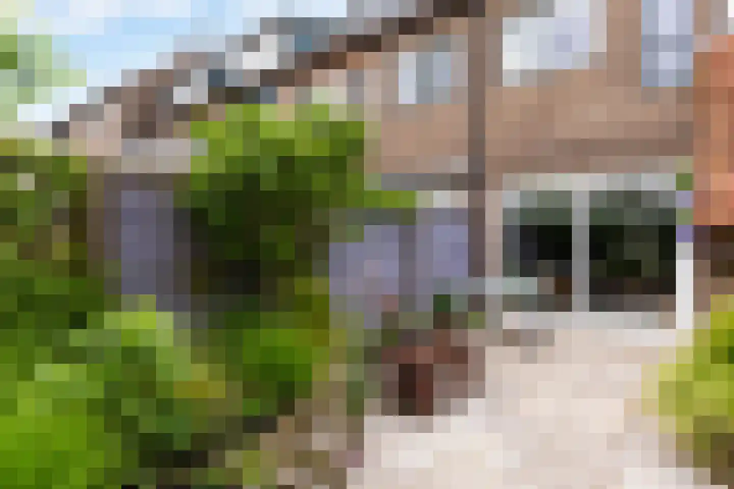 Lelievaart 81 Zoetermeer thumbnail 18