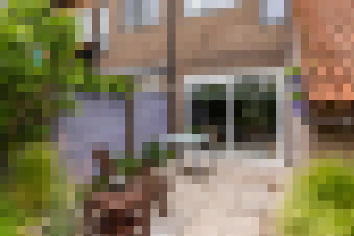 Lelievaart 81 Zoetermeer thumbnail 19