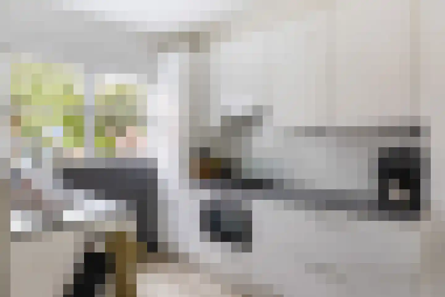 Lelievaart 81 Zoetermeer thumbnail 22