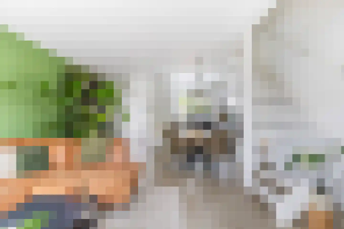 Lelievaart 81 Zoetermeer thumbnail 24