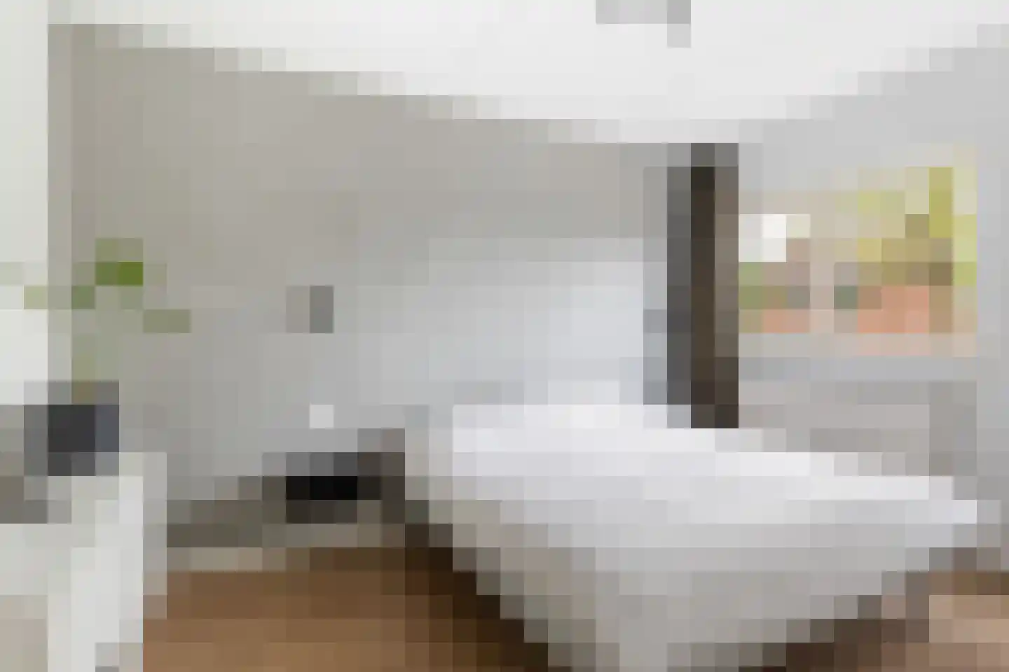 Lelievaart 81 Zoetermeer thumbnail 26