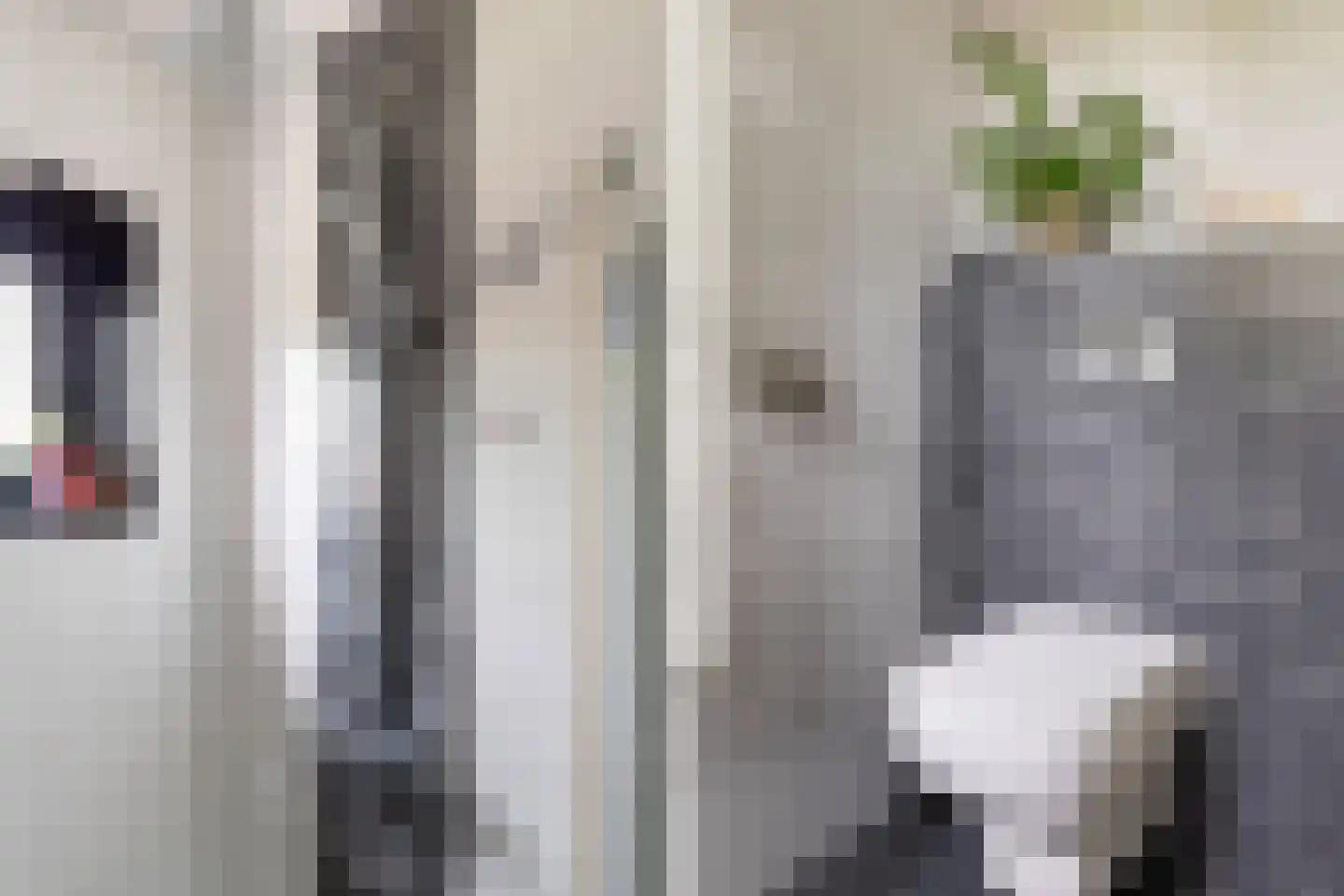 Lelievaart 81 Zoetermeer thumbnail 34