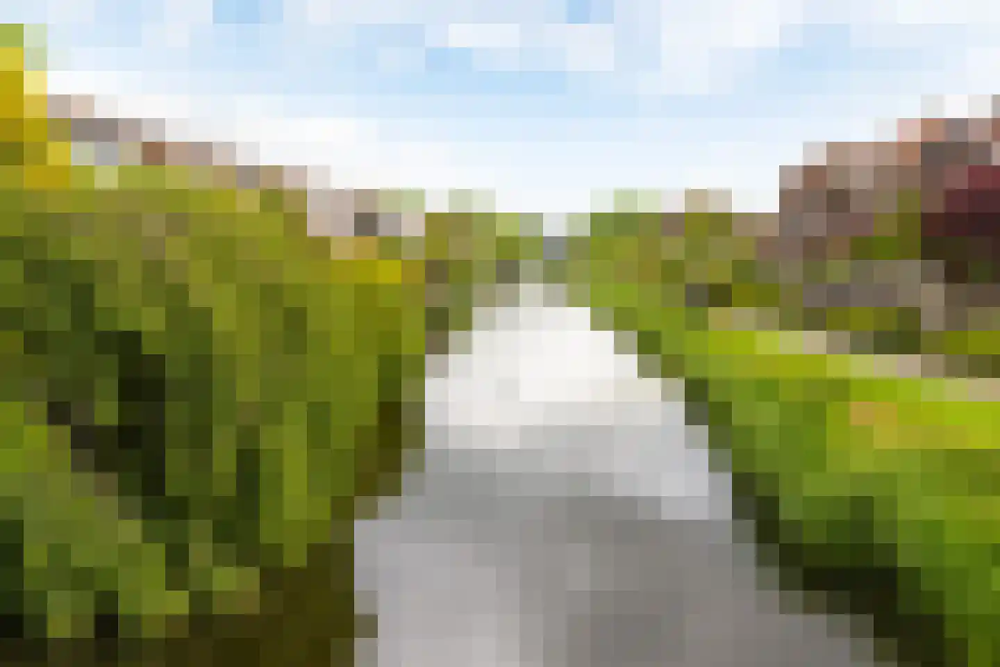 Lelievaart 81 Zoetermeer thumbnail 42
