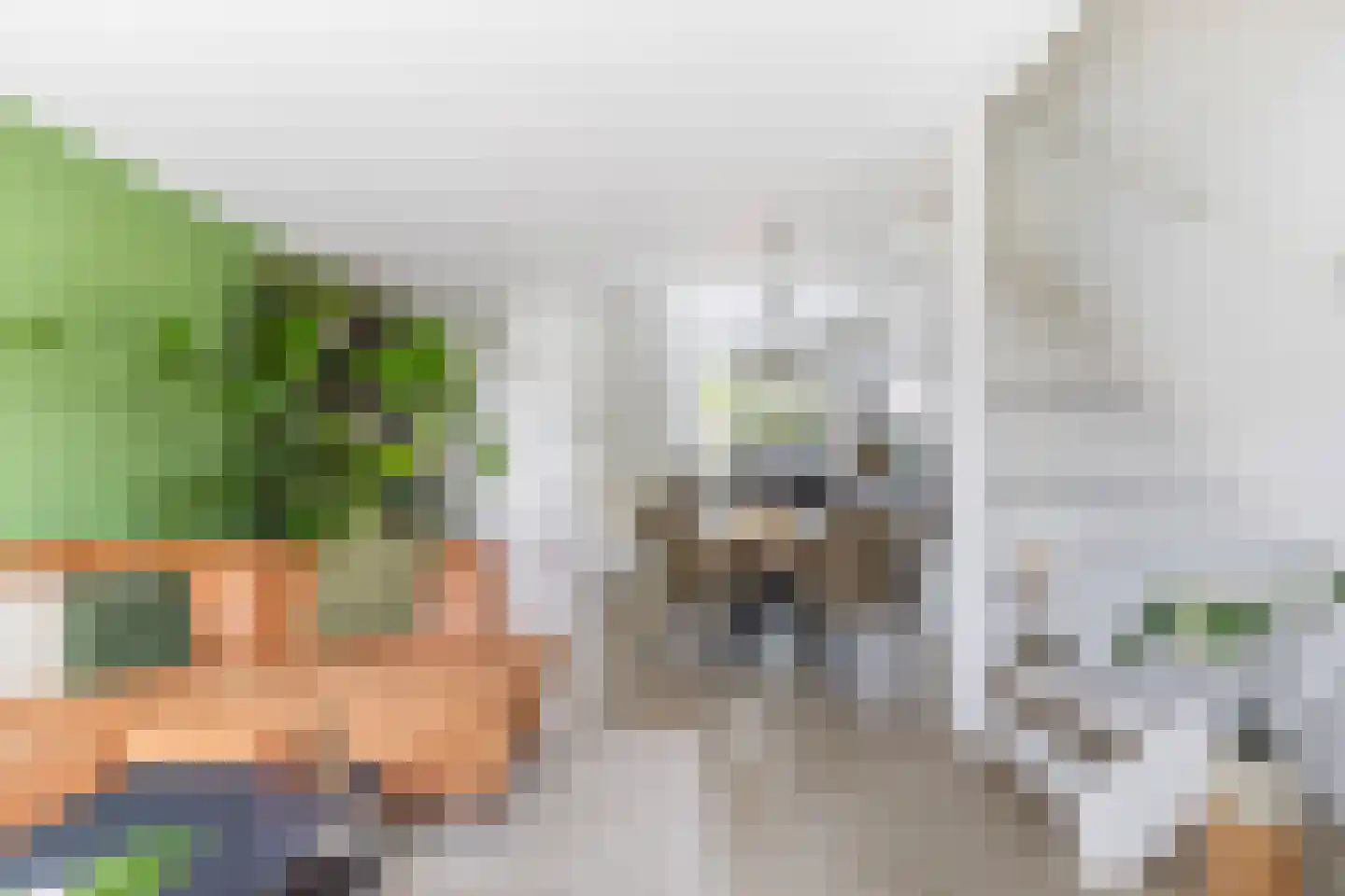 Lelievaart 81 Zoetermeer thumbnail 5