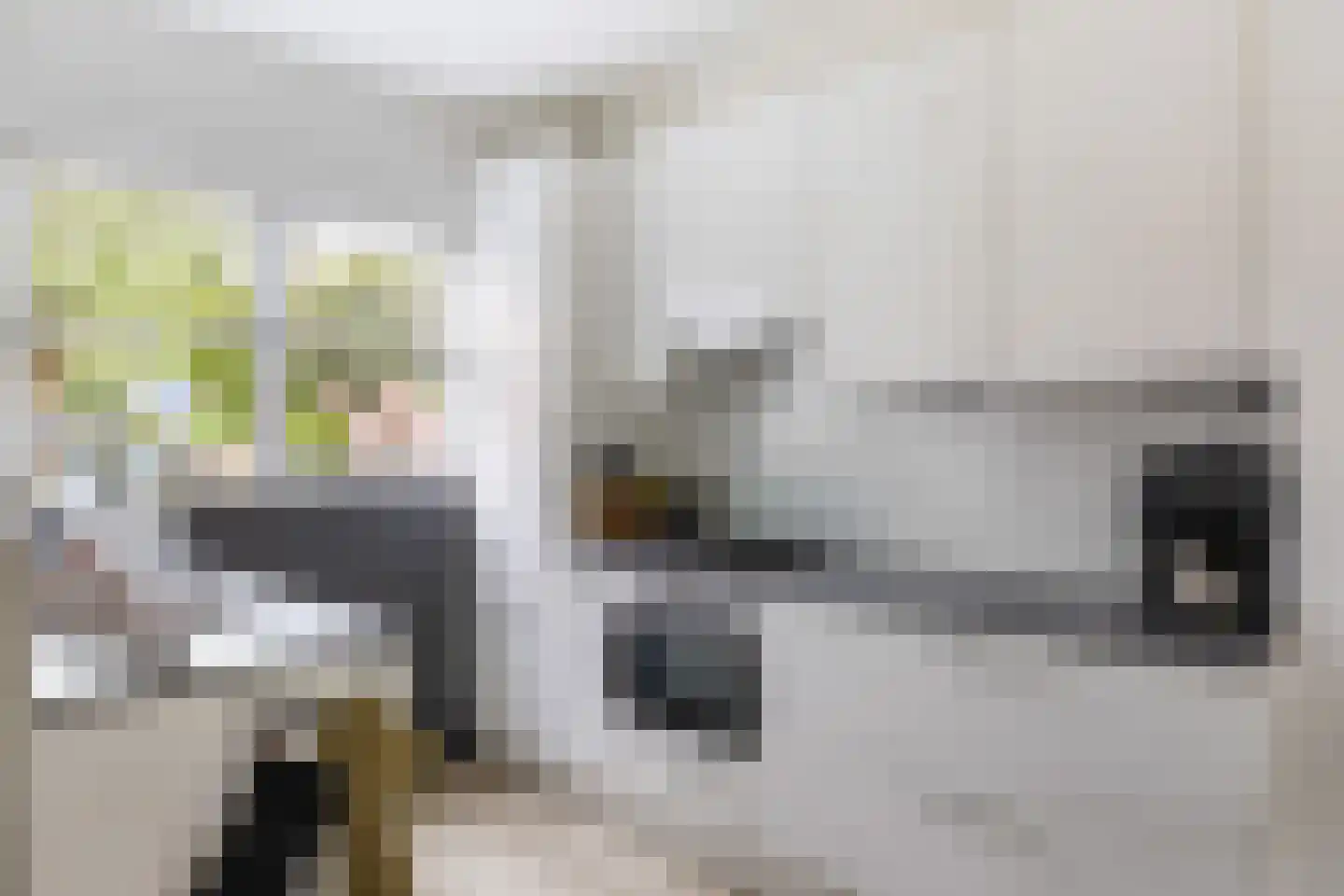 Lelievaart 81 Zoetermeer thumbnail 6