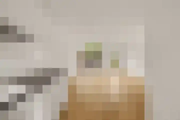 Lelieveld 111 Nieuwerkerk aan den IJssel thumbnail 10