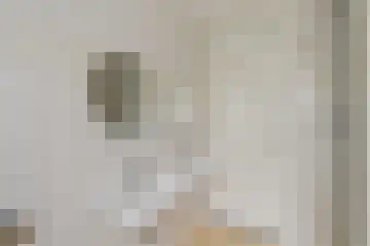 Lelieveld 111 Nieuwerkerk aan den IJssel thumbnail 12