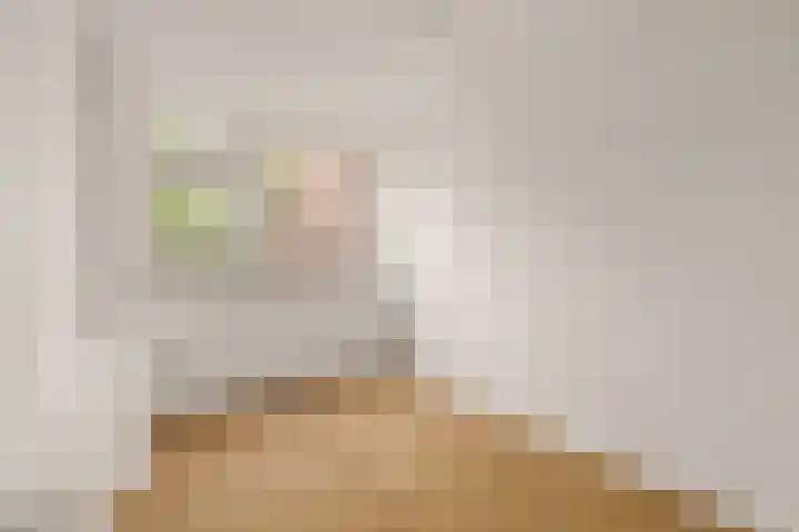 Lelieveld 111 Nieuwerkerk aan den IJssel thumbnail 13
