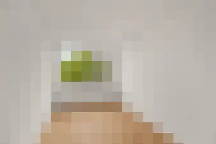 Lelieveld 111 Nieuwerkerk aan den IJssel thumbnail 15