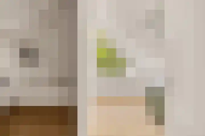 Lelieveld 111 Nieuwerkerk aan den IJssel thumbnail 19