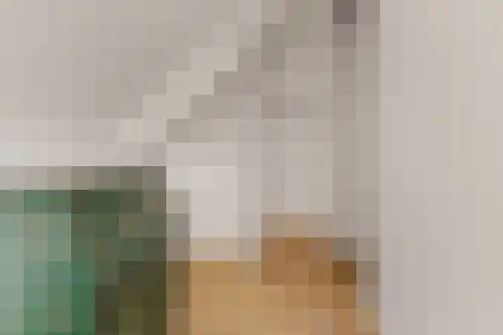 Lelieveld 111 Nieuwerkerk aan den IJssel thumbnail 20