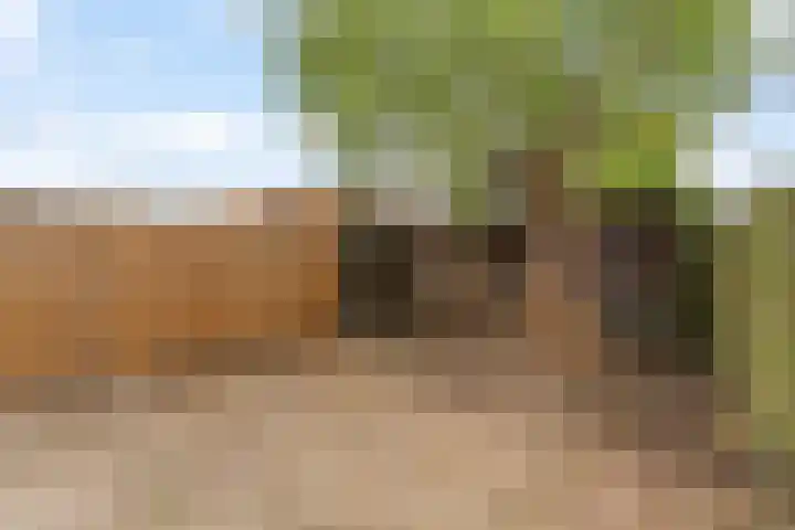 Lelieveld 111 Nieuwerkerk aan den IJssel thumbnail 23