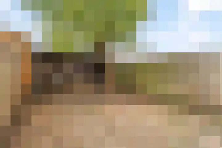 Lelieveld 111 Nieuwerkerk aan den IJssel thumbnail 25