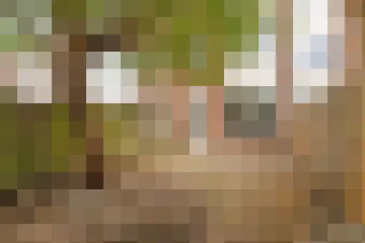 Lelieveld 111 Nieuwerkerk aan den IJssel thumbnail 26
