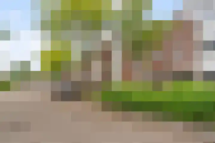Lelieveld 111 Nieuwerkerk aan den IJssel thumbnail 28