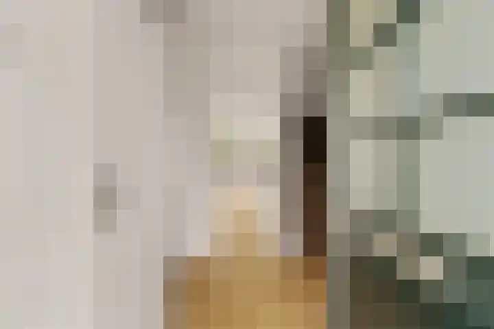 Lelieveld 111 Nieuwerkerk aan den IJssel thumbnail 5