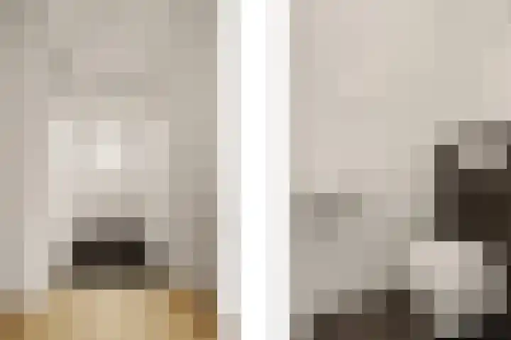 Lelieveld 111 Nieuwerkerk aan den IJssel thumbnail 6