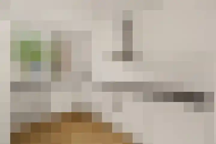 Lelieveld 111 Nieuwerkerk aan den IJssel thumbnail 9
