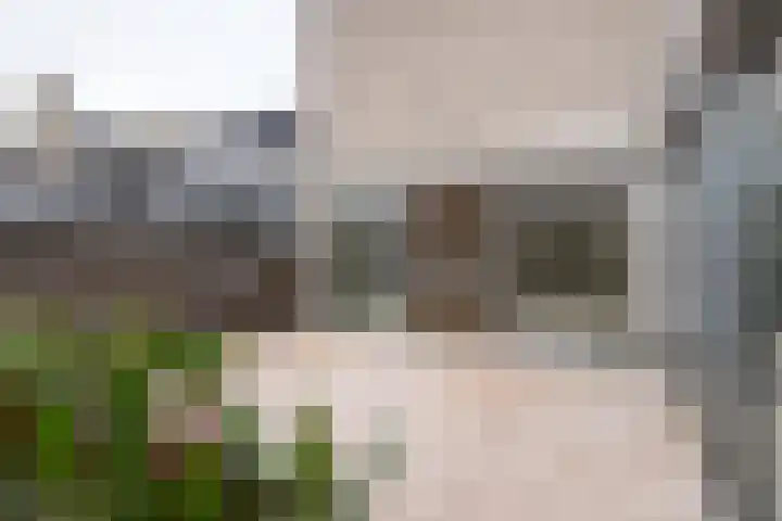 Lelieveld 63 Nieuwerkerk aan den IJssel thumbnail 22