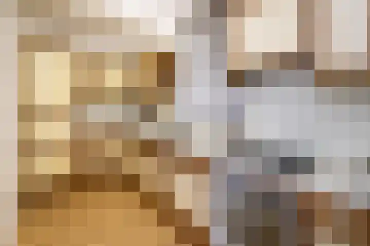 Lelieveld 63 Nieuwerkerk aan den IJssel thumbnail 5