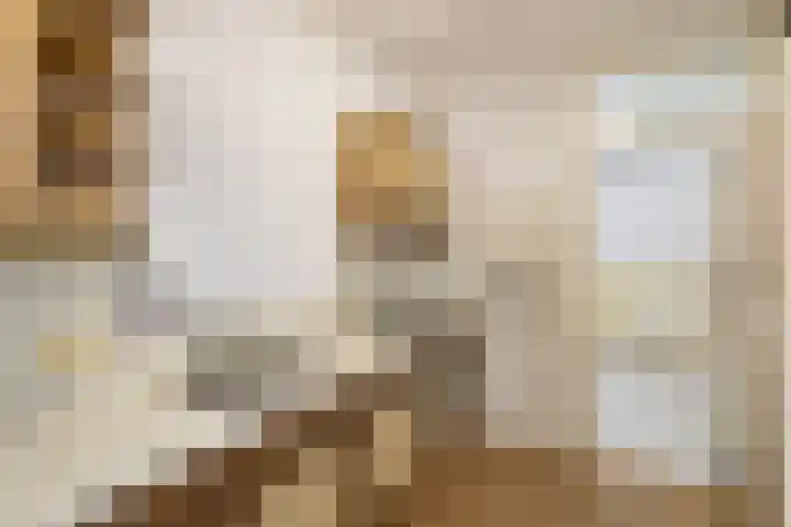 Lelieveld 63 Nieuwerkerk aan den IJssel thumbnail 6