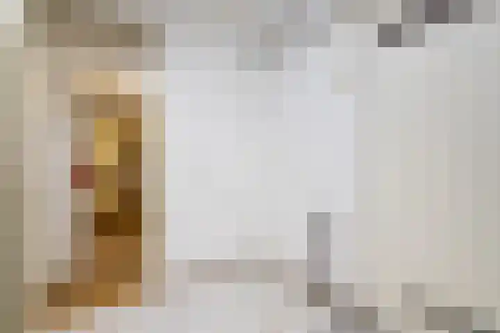 Lelieveld 63 Nieuwerkerk aan den IJssel thumbnail 7