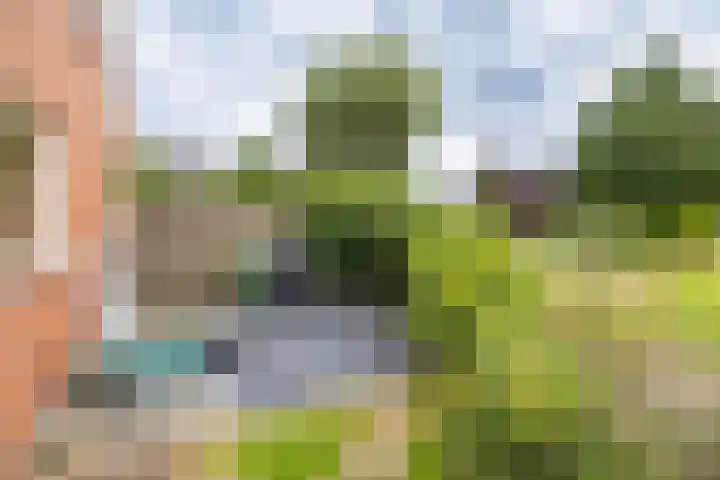 Lellensterweg 13 Stedum thumbnail 10