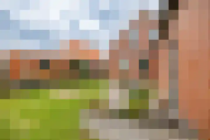 Lellensterweg 13 Stedum thumbnail 11