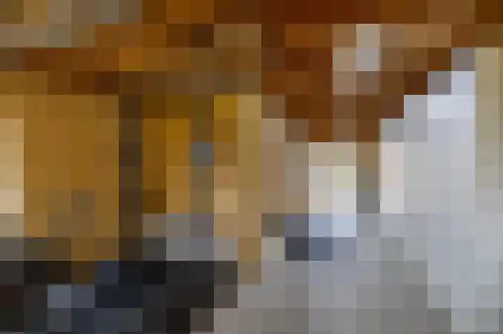 Lellensterweg 13 Stedum thumbnail 38