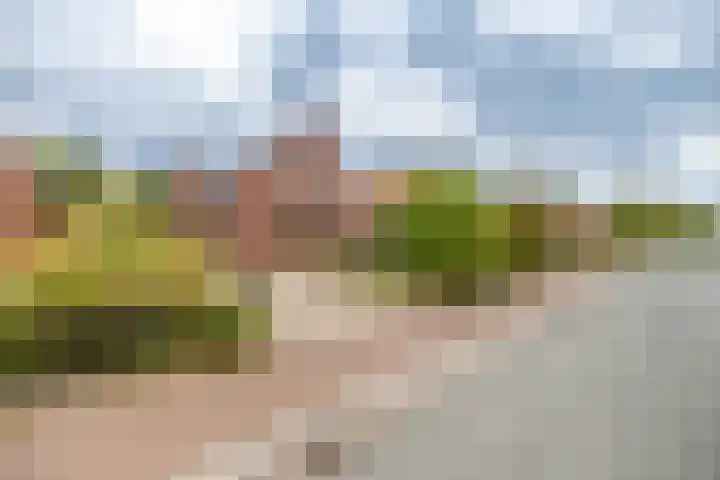 Lellensterweg 13 Stedum thumbnail 4